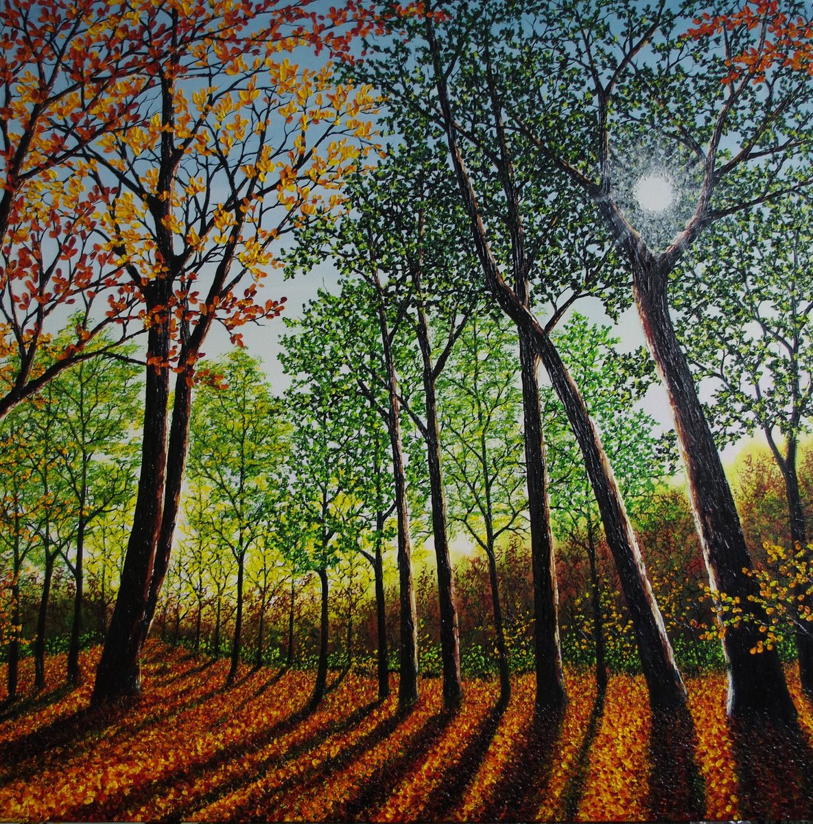 Magical Autumn Light by Hazel Thomson