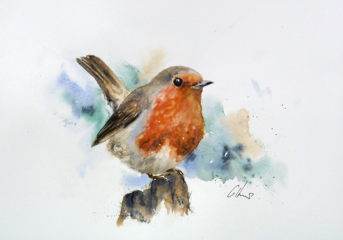 Robin by Graham Kemp