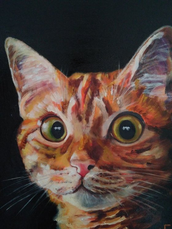 Red cat, 35x45 cm, ready to hang.