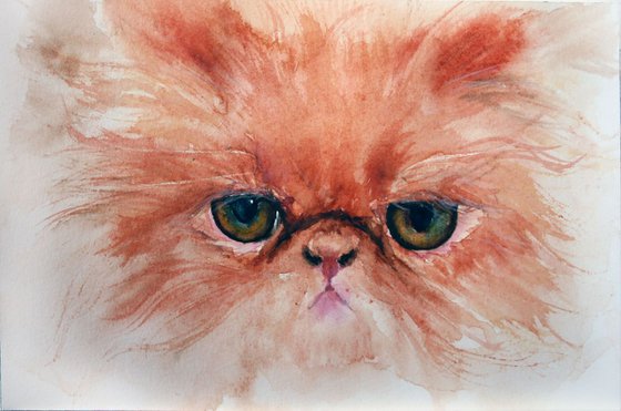 CAT PORTRAIT III  /  Exotic Persian  / ORIGINAL PAINTING