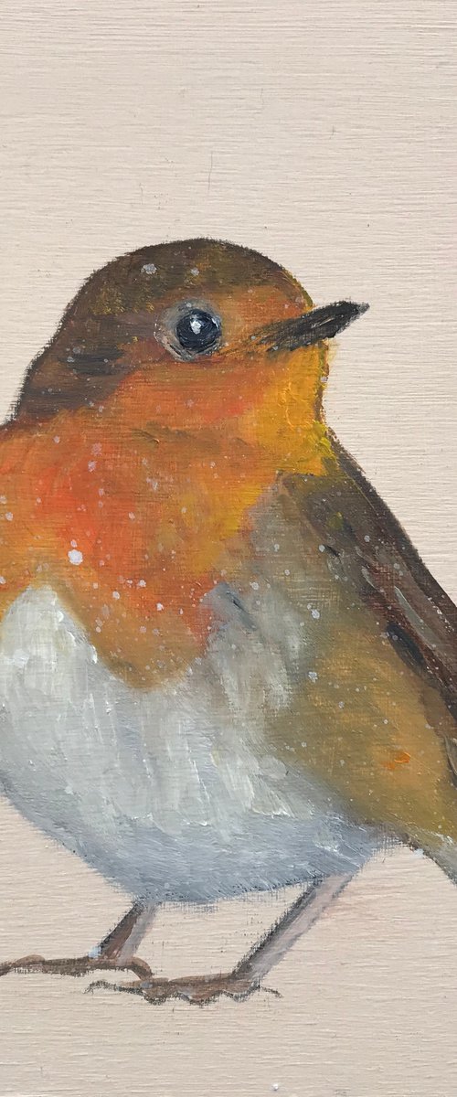 Robin by Laure Bury