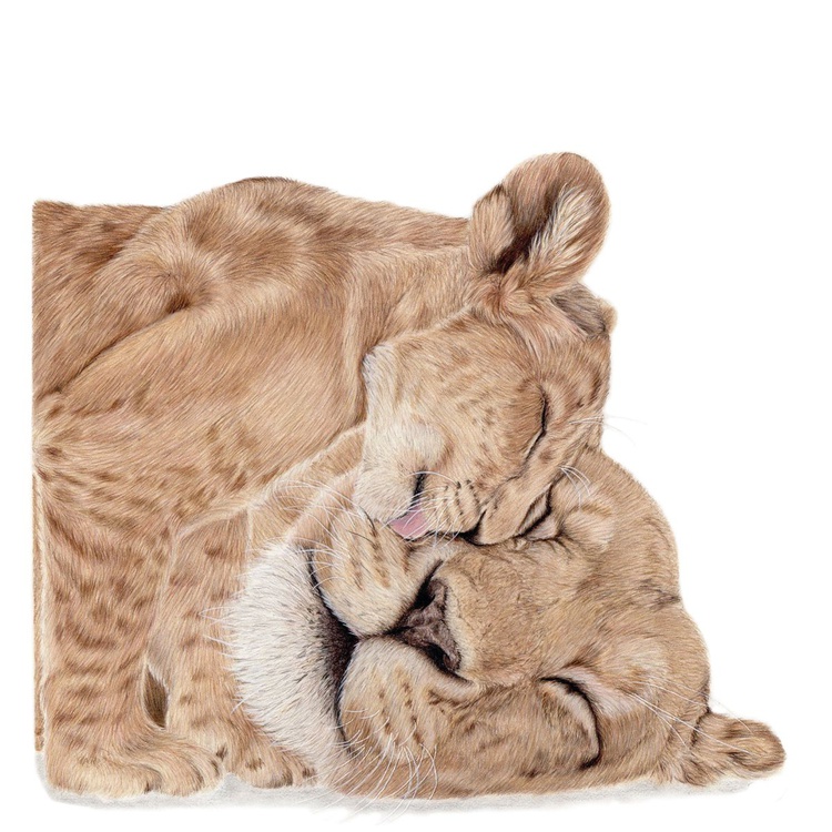 Mother S Love Pencil Drawing By Katie Packer Artfinder