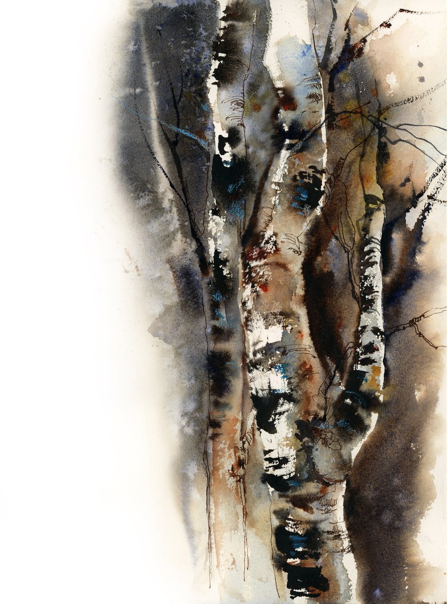 Birch Trees by Sophie Rodionov