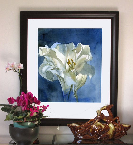 white lily in blue