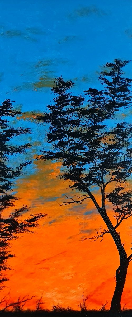 Orange sunset 3 by Daniel Urbaník