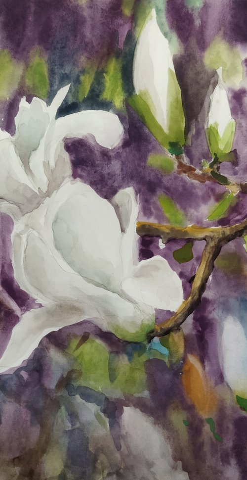 Magnificent White Magnolia by Ann Krasikova