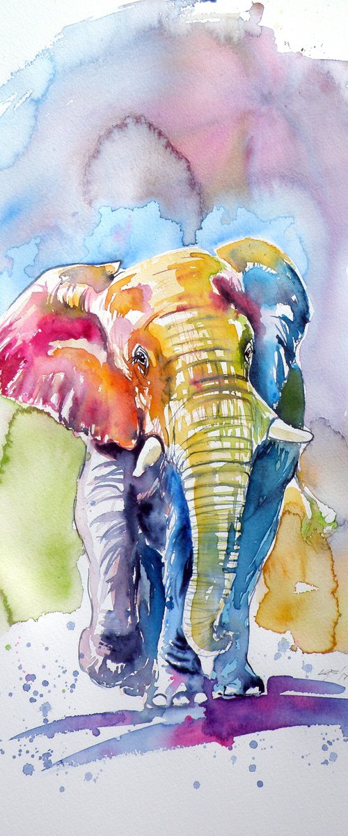 Colorful elephant by Kovács Anna Brigitta