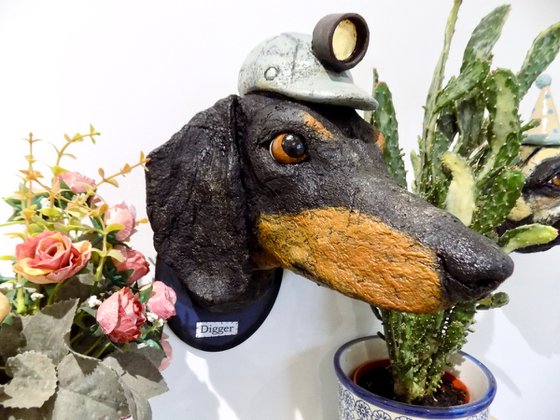 Dachshund sculpture named Digger