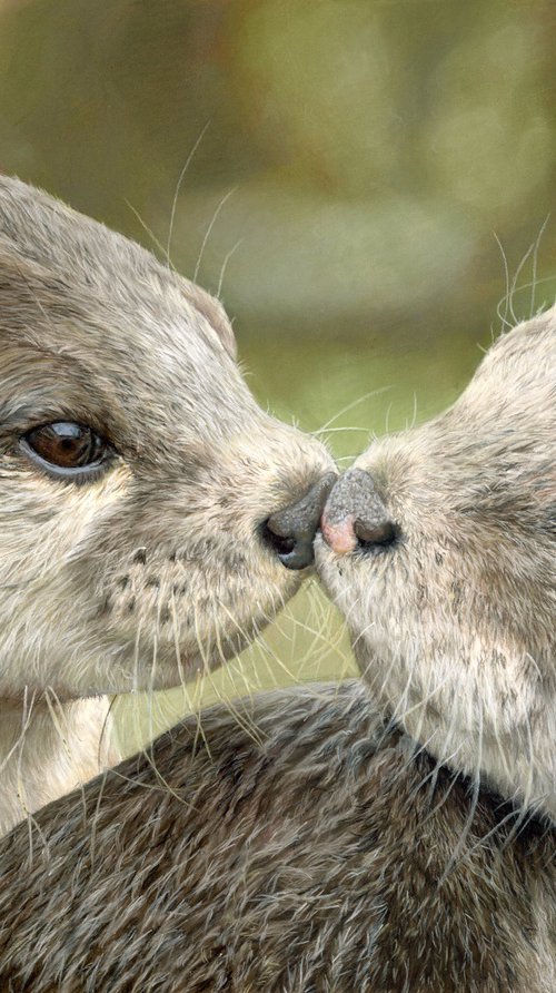The Otter hald by Annika Schmitt