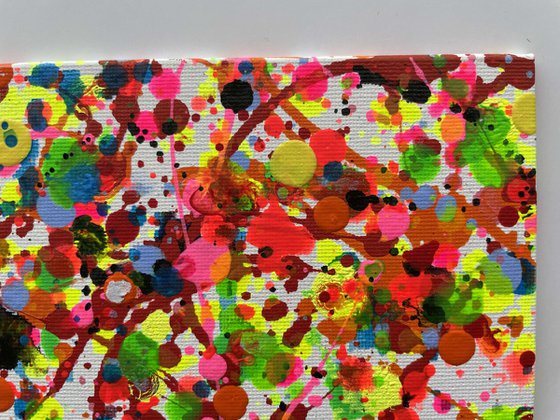 P010 Little style Pollock