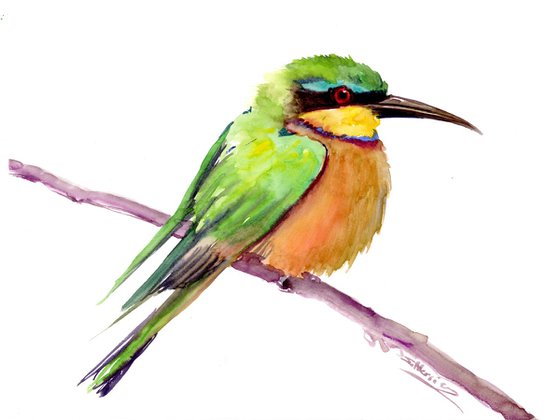 Bee Eater