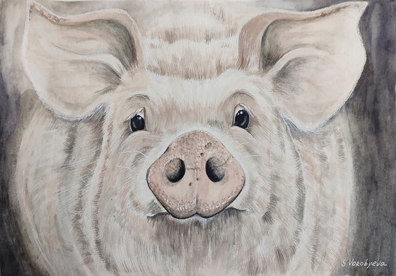 Piglet grew up... Watercolor painting on paper. Original artwork by Svetlana Vorobyeva