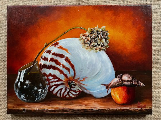 The still life with a nautilus shell