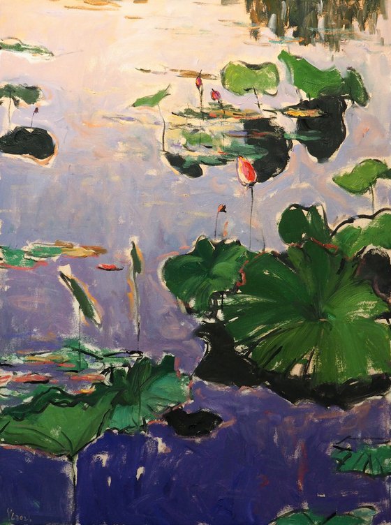 Lotus leaves