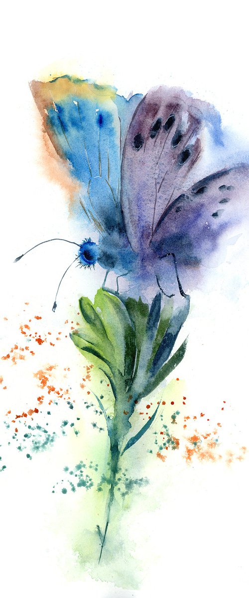 Butterfly on the green flower by Olga Tchefranov (Shefranov)