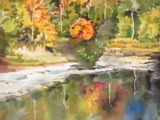 Autumn by the creek