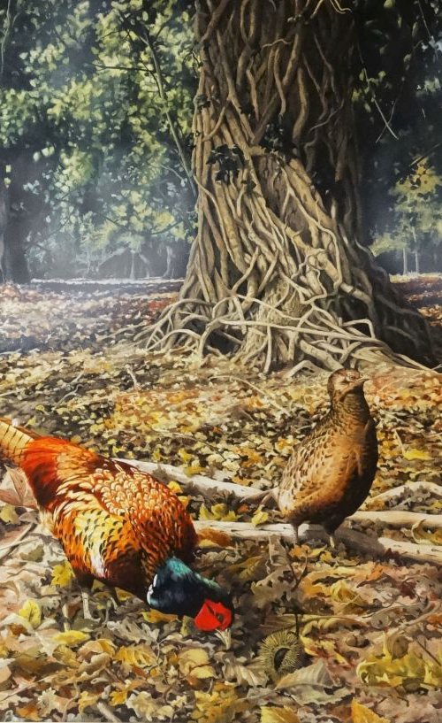 Woodland Pheasants by Julian Wheat