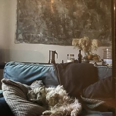 Visit Caroline Lazzarini shop