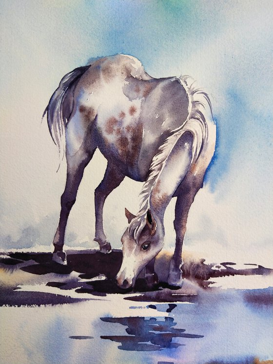 Magical creatures. Waterhole in the clouds - white horse, animal portrait