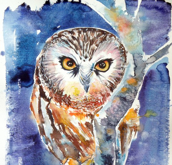 Owl at night