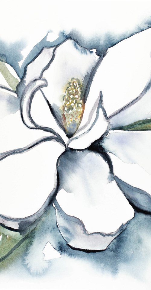 Magnolia No. 30 by Elizabeth Becker