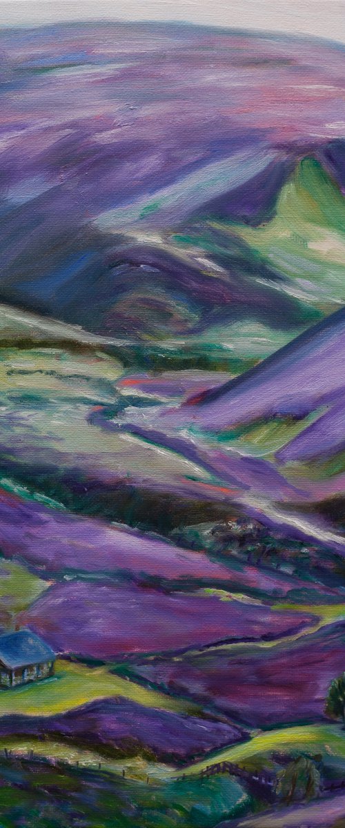 Heather Hills by Liudmila Pisliakova