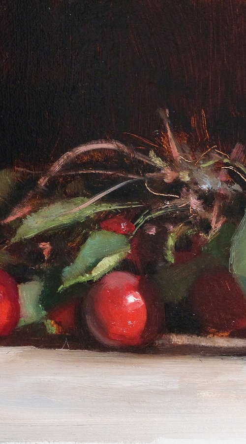 Cherry Branch by Pascal Giroud