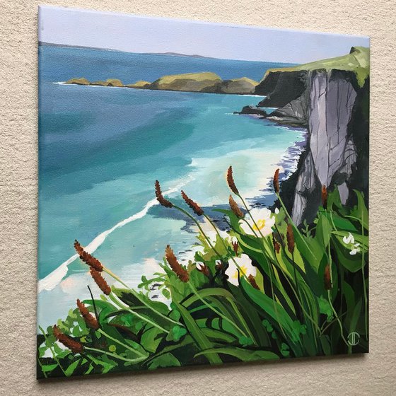 Summer On The Antrim Coast
