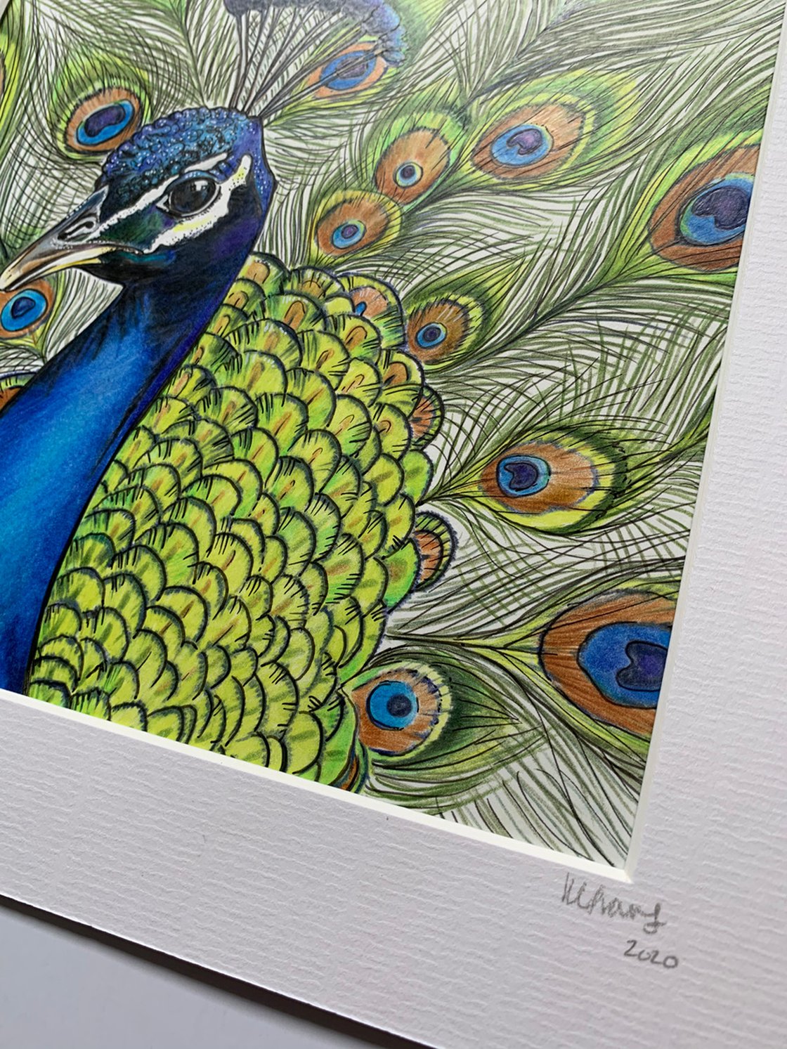 Peacock Mixed-media painting: Karen Elaine Evans | Artfinder, image size:1120x1493