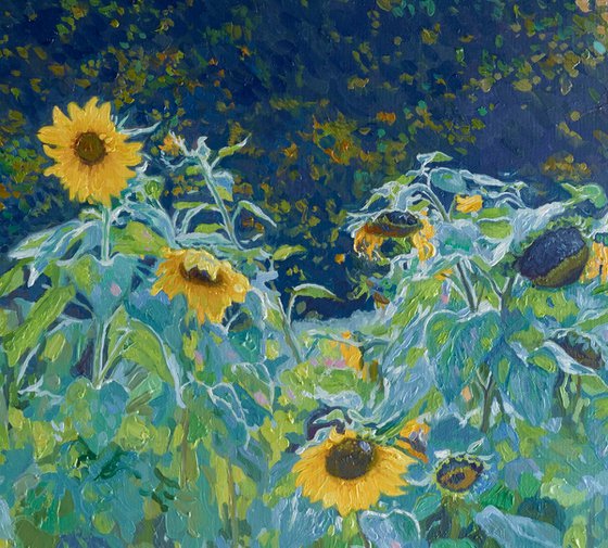 Sunflowers in Kolomenskoye