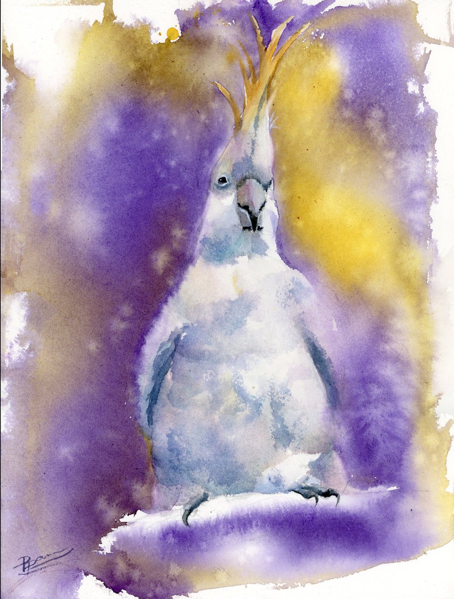 Abstract Animal Watercolour By Olga Tchefranov (Shefranov), 9 X 12", Parrot, Original Artwork