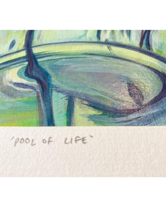 Pool of life