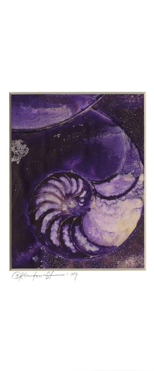 Nautilus Shell 944 by Kathy Morton Stanion