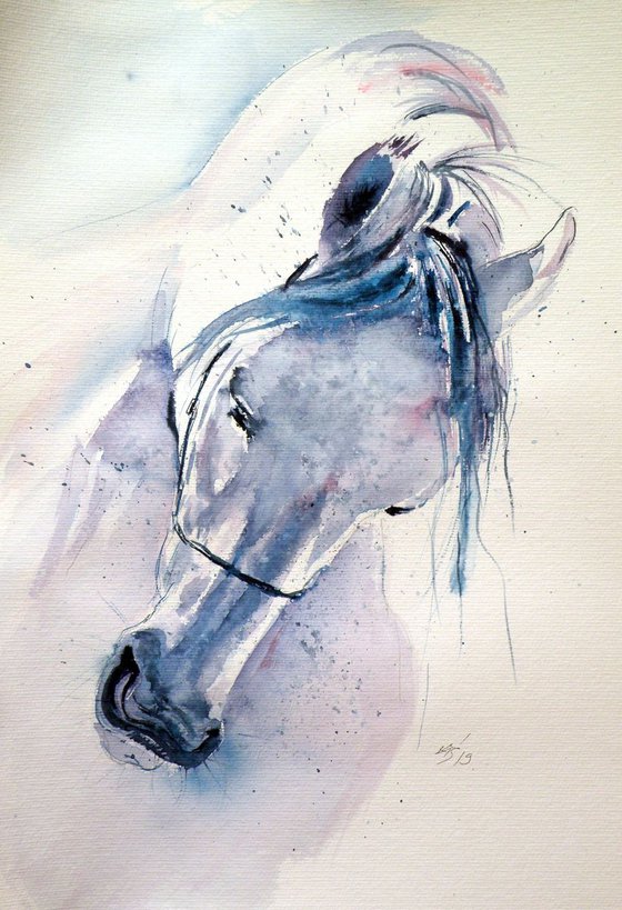 White horse 50 x 35 cm Watercolour by Kovács Anna Brigitta | Artfinder