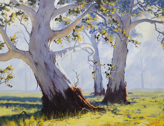 Yan Yean Gum trees, Vic