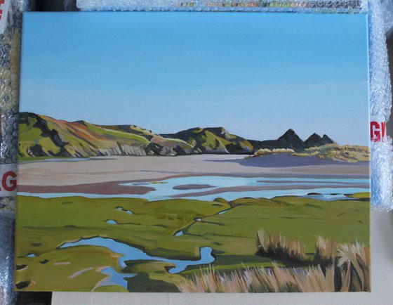 The Marsh at Pennard Pill (Three Cliffs Bay, Gower)