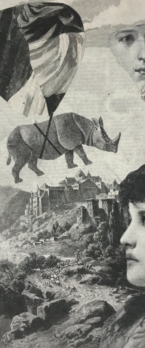 Rhino Ride by Tudor Evans