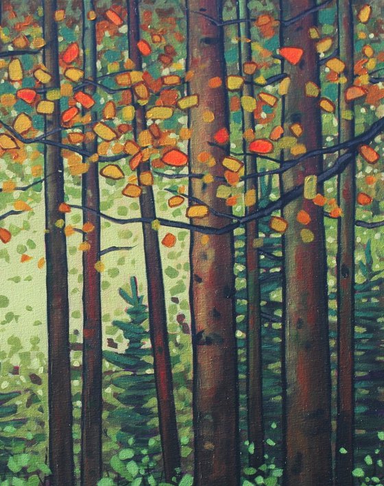 Autumn Woodland