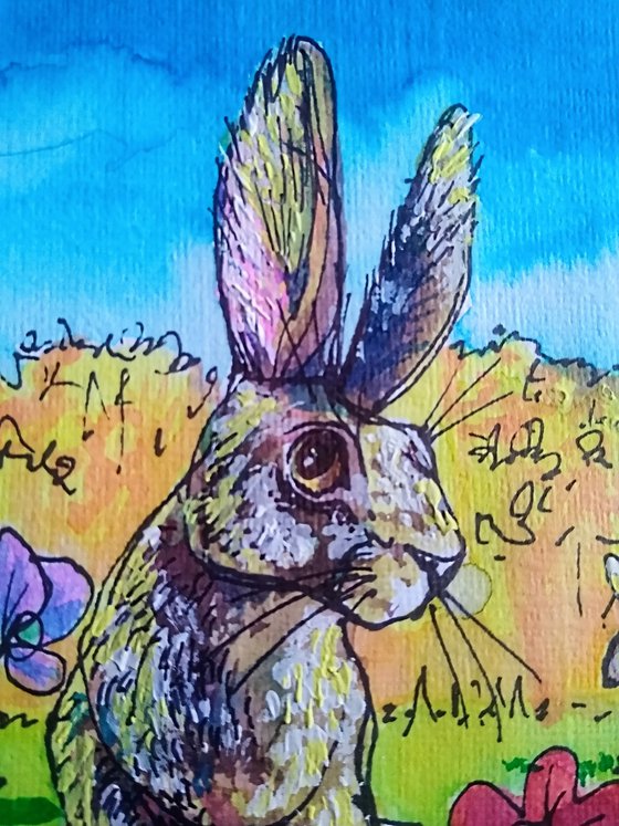 Hares & yellow fields