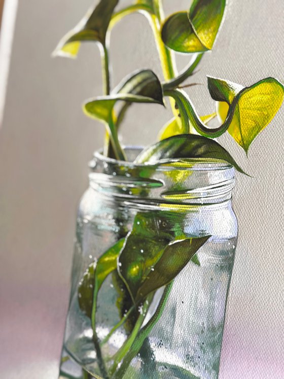 The Sprout in a clear glass