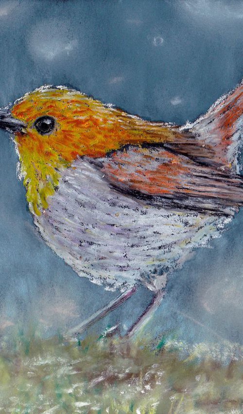 Robin Bird. Christmas gift by Yulia Schuster