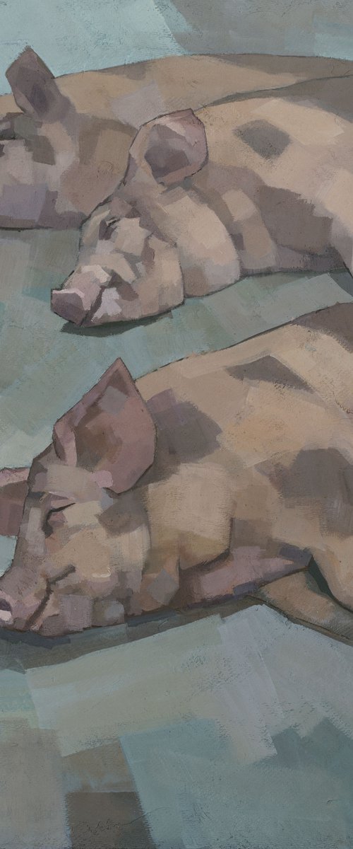 Sleeping Pigs by Steve Mitchell