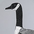 Goose