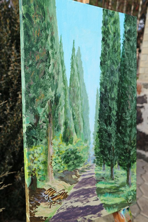 Cypress alley, 30*50
