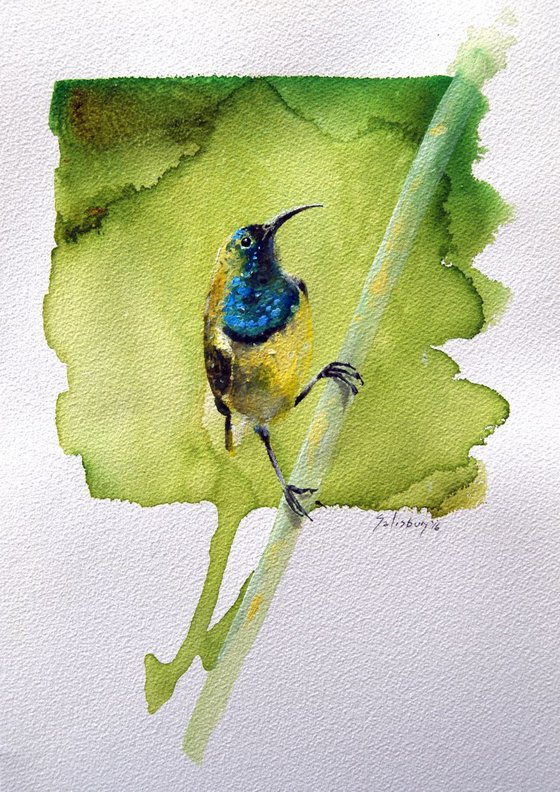 Yellow breasted sunbird