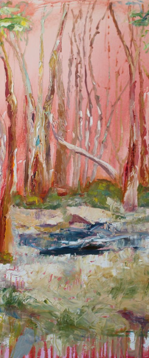 RED SKIES AT NIGHT SHEPHERD'S DELIGHT by Maureen Finck