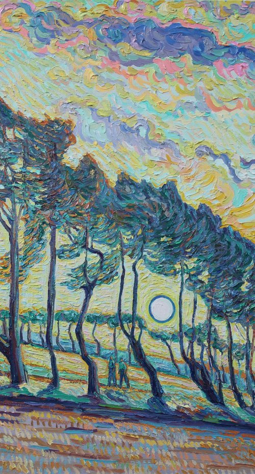 scots pine trees by Nigel Dickerson