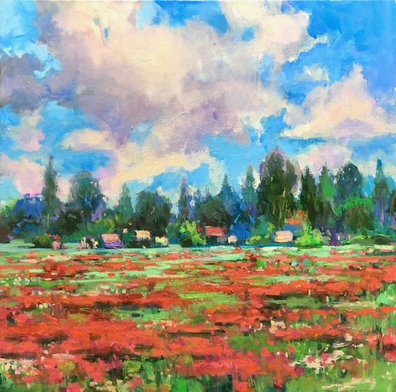 Happy Poppy-Land