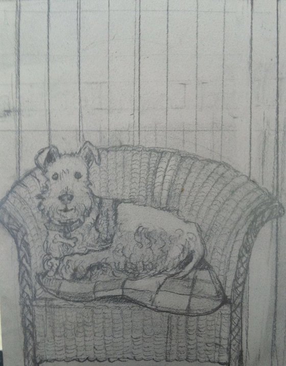 Lloyd Loom Terrier I