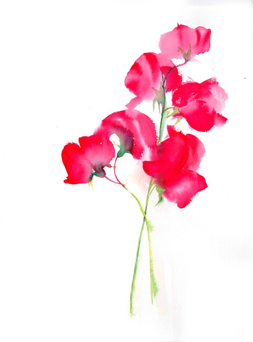 Sweetpea, Floral Art, Original Watercolour painting, Minimal art by Anjana Cawdell